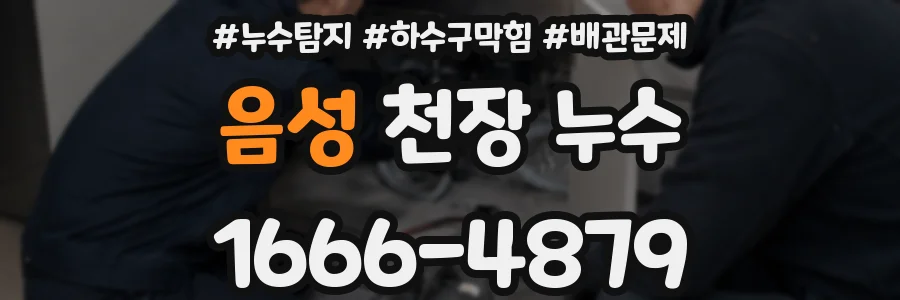 음성 천장 누수