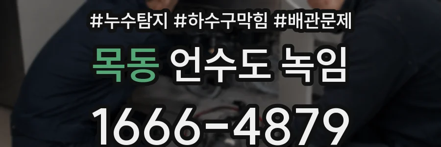 목동 언수도 녹임