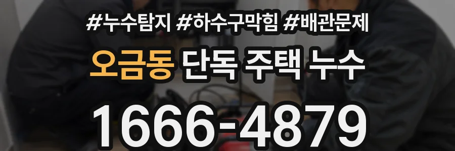 오금동 단독 주택 누수
