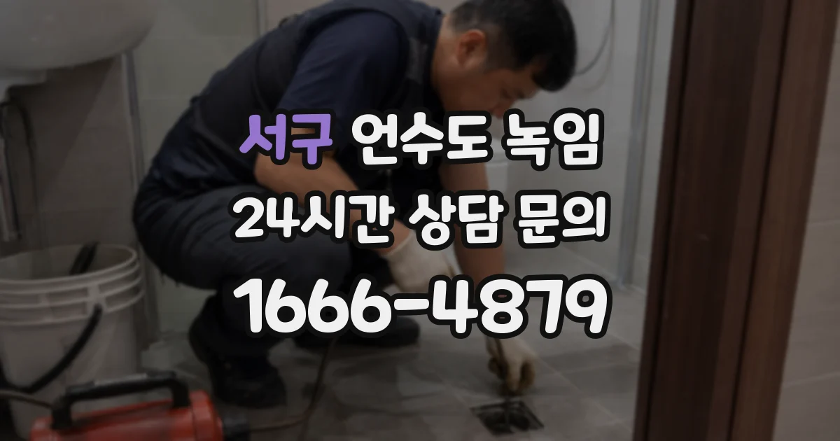 서구 언수도 녹임