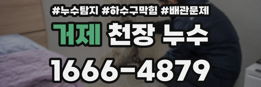 거제 천장 누수