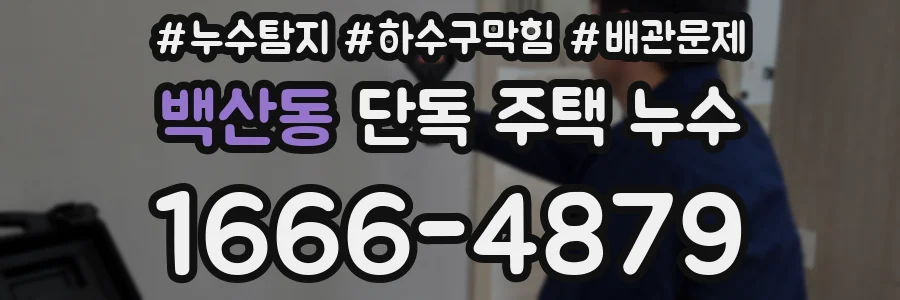 백산동 단독 주택 누수