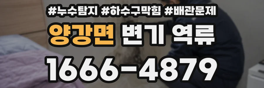 양강면 변기 역류