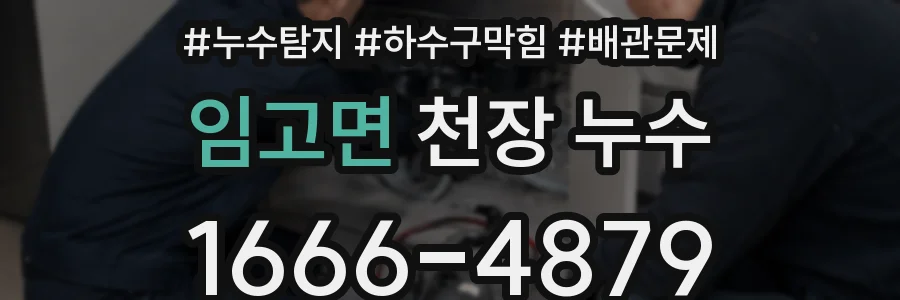 임고면 천장 누수