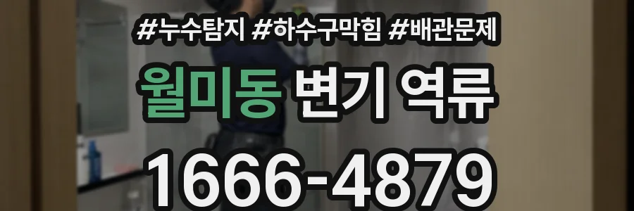 월미동 변기 역류