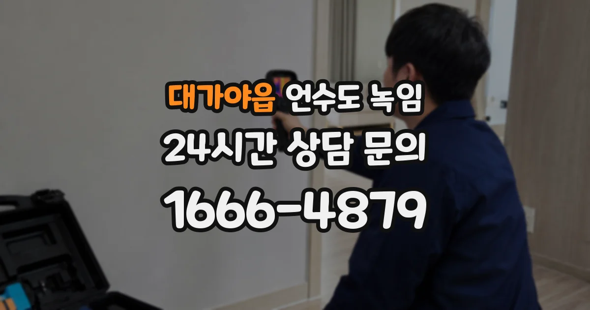 대가야읍 언수도 녹임