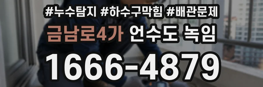 금남로4가 언수도 녹임