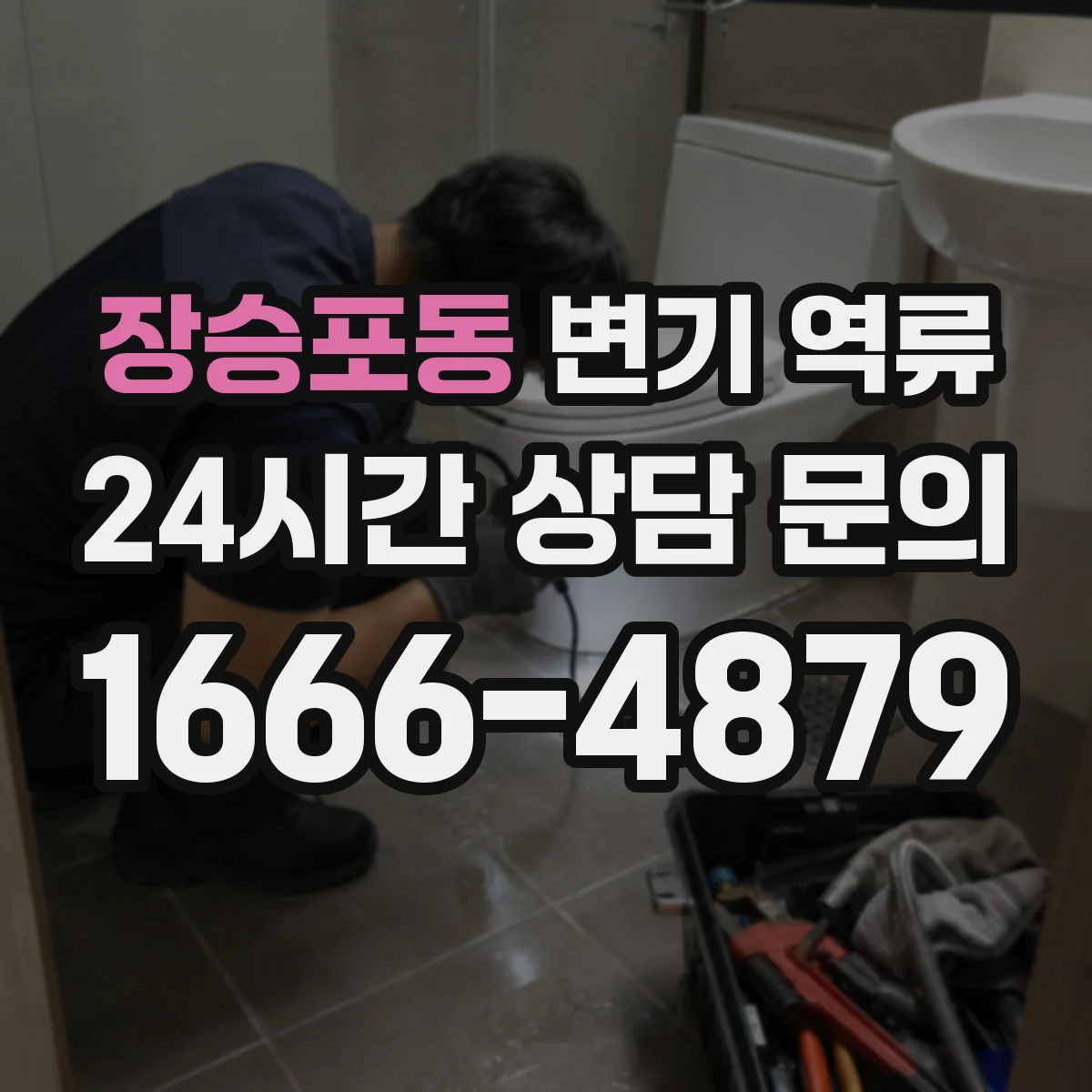장승포동 변기 역류