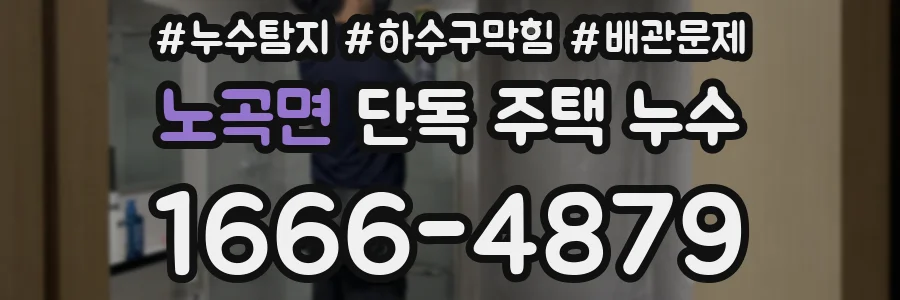 노곡면 단독 주택 누수