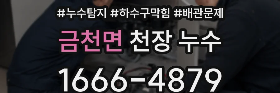금천면 천장 누수