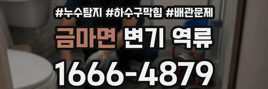 금마면 변기 역류