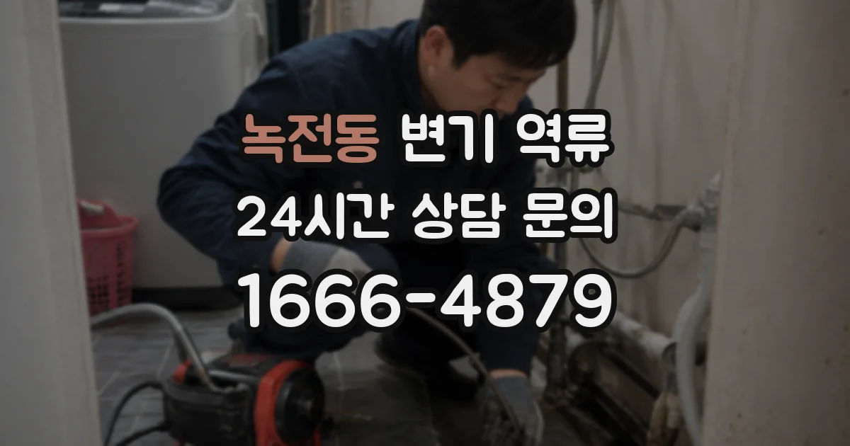 녹전동 변기 역류