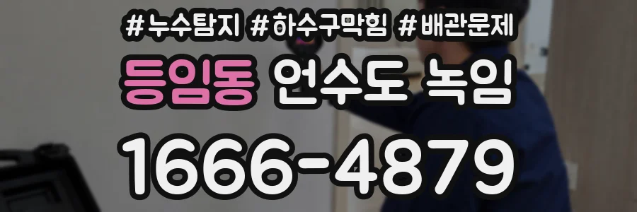 등임동 언수도 녹임