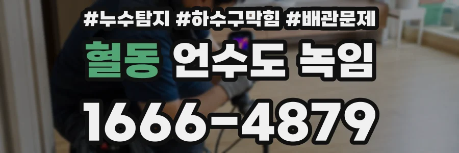 혈동 언수도 녹임