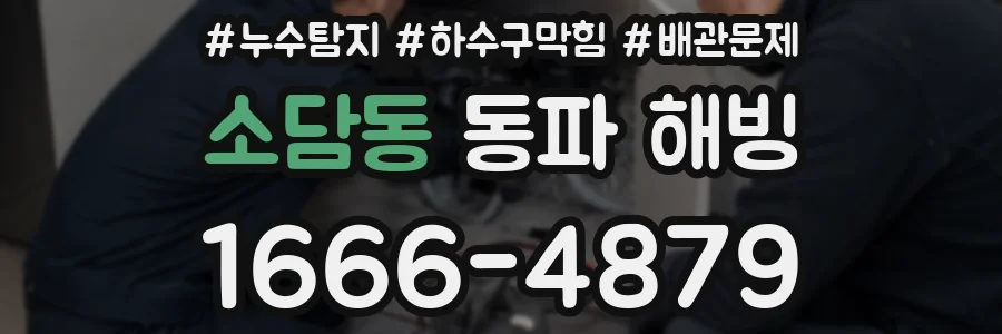 소담동 동파 해빙