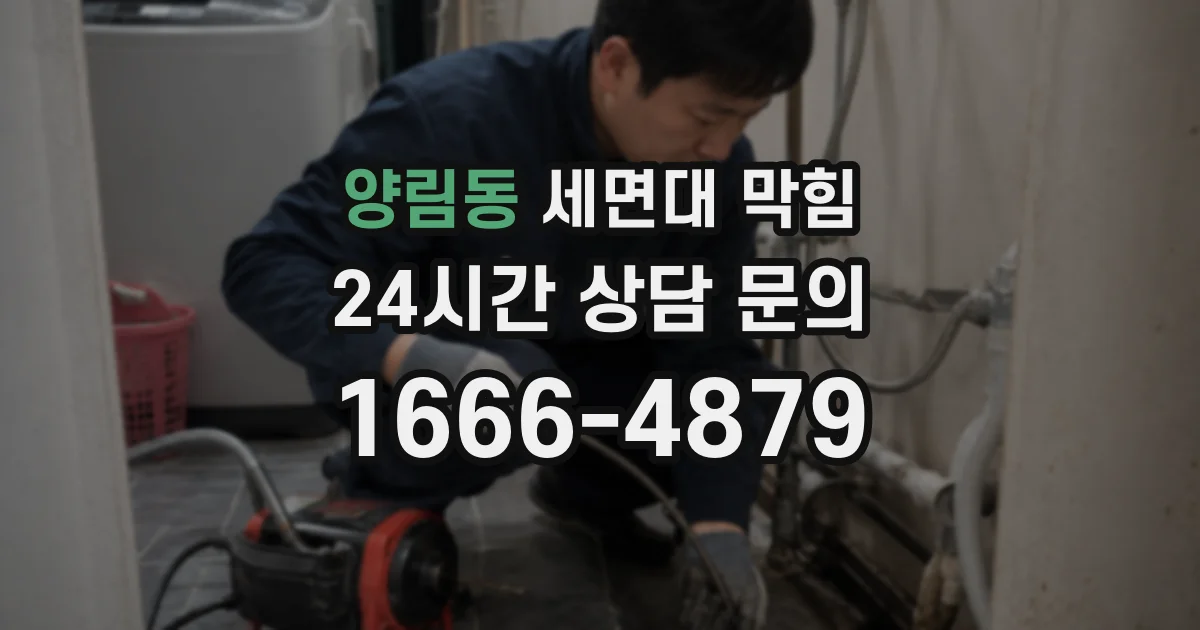 양림동 세면대 막힘