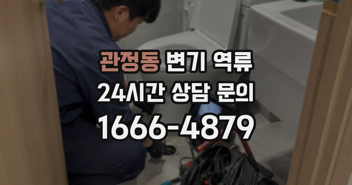 관정동 변기 역류