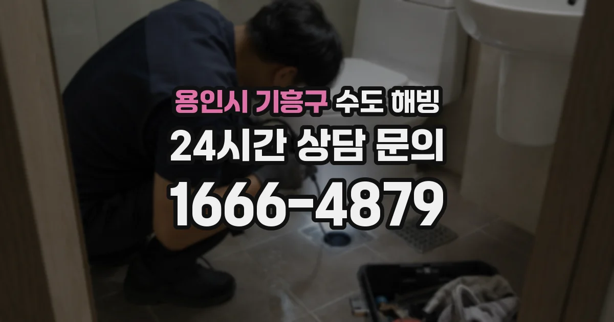 용인시 기흥구 수도 해빙