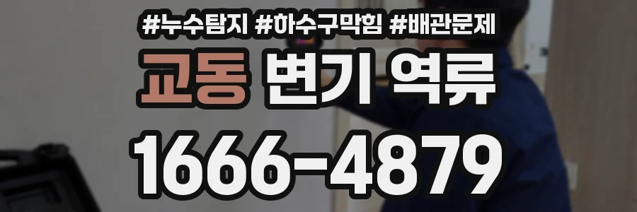 교동 변기 역류