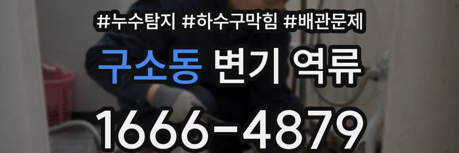 구소동 변기 역류