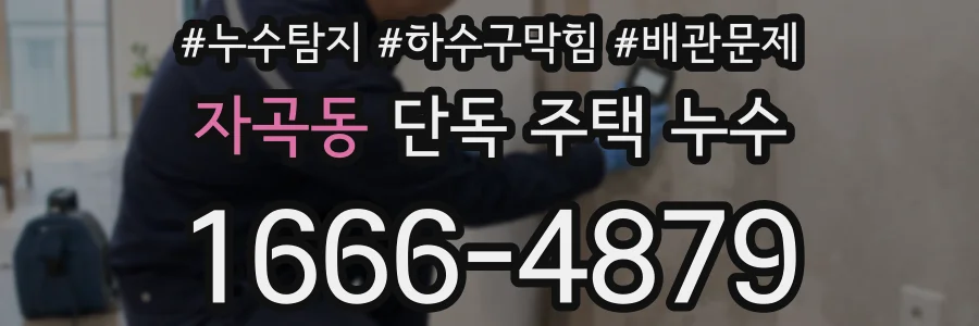 자곡동 단독 주택 누수