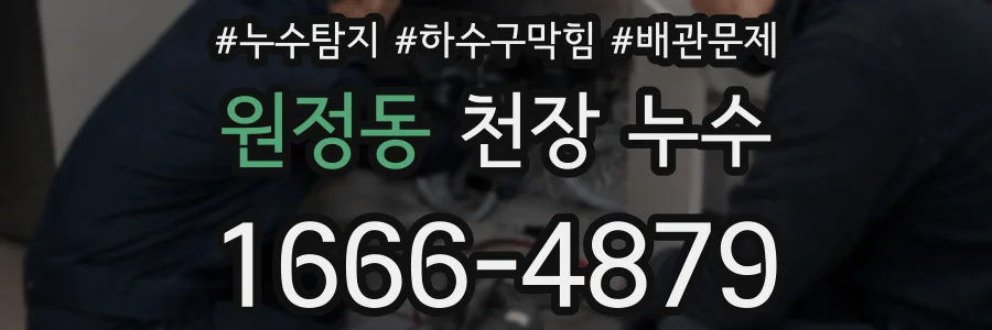 원정동 천장 누수