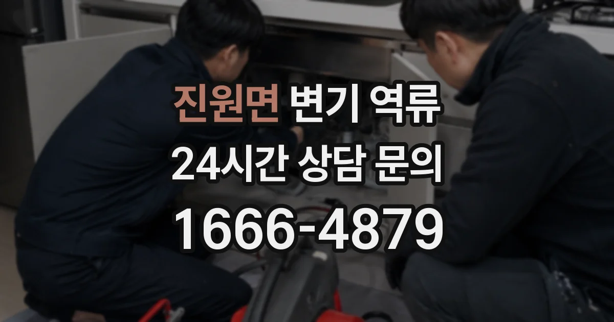 진원면 변기 역류