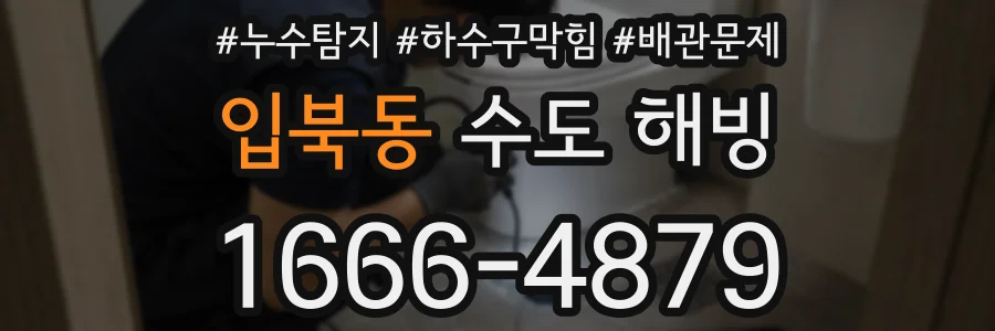 입북동 수도 해빙