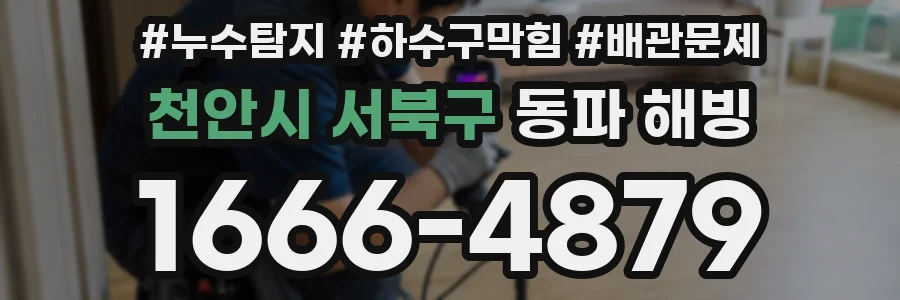 천안시 서북구 동파 해빙
