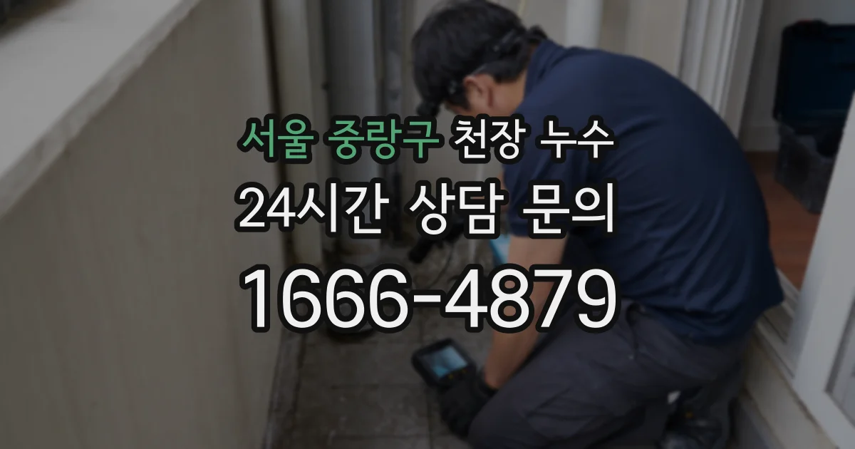 서울 중랑구 천장 누수