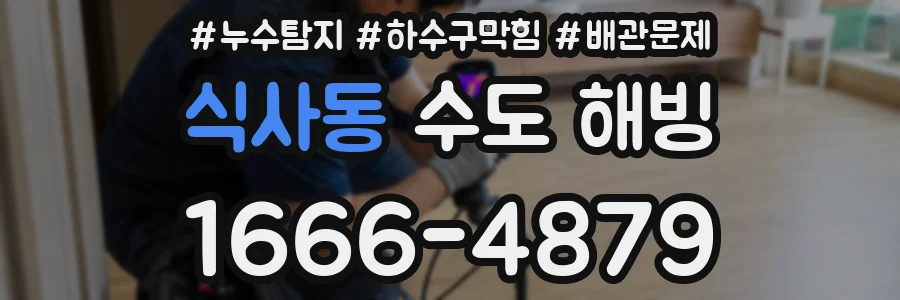식사동 수도 해빙