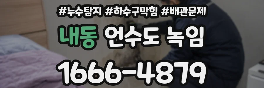 내동 언수도 녹임