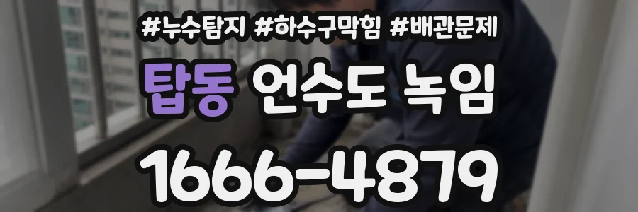 탑동 언수도 녹임