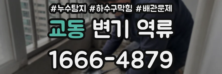 교동 변기 역류