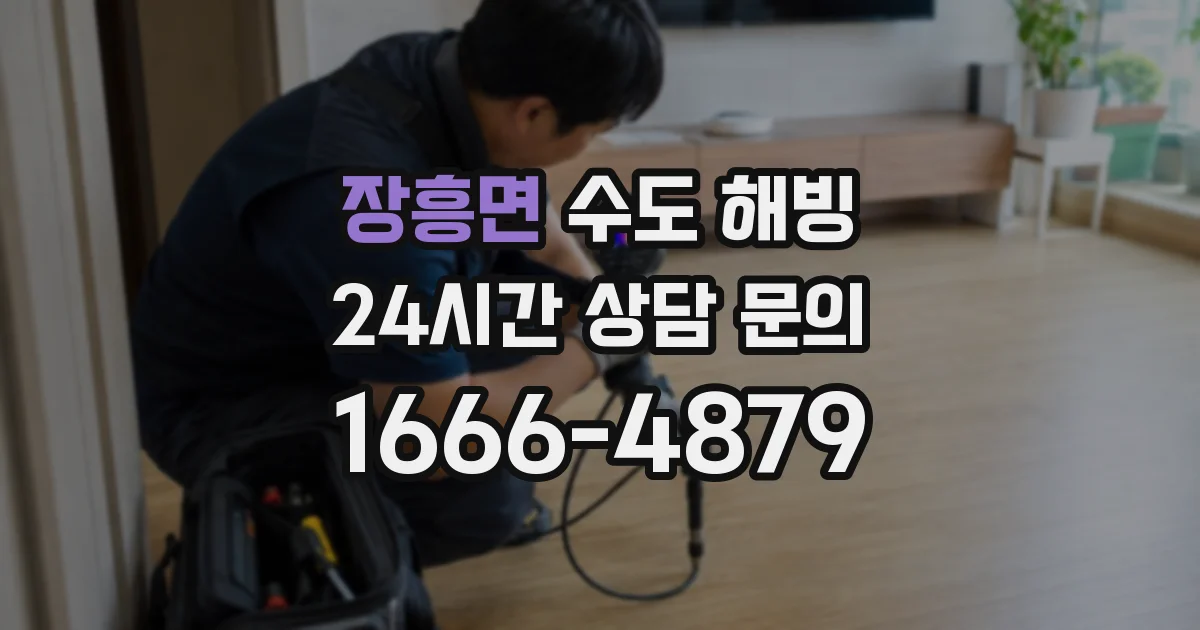 장흥면 수도 해빙