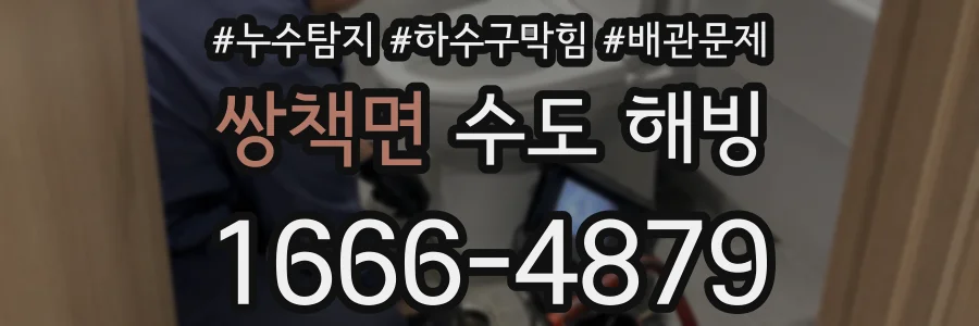 쌍책면 수도 해빙