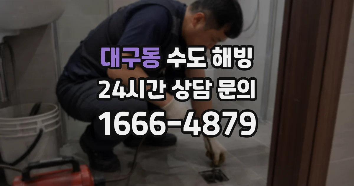 대구동 수도 해빙
