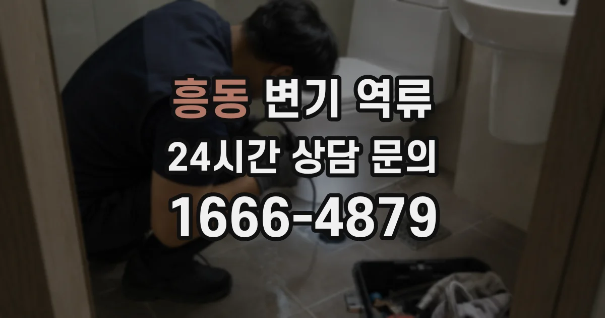 흥동 변기 역류