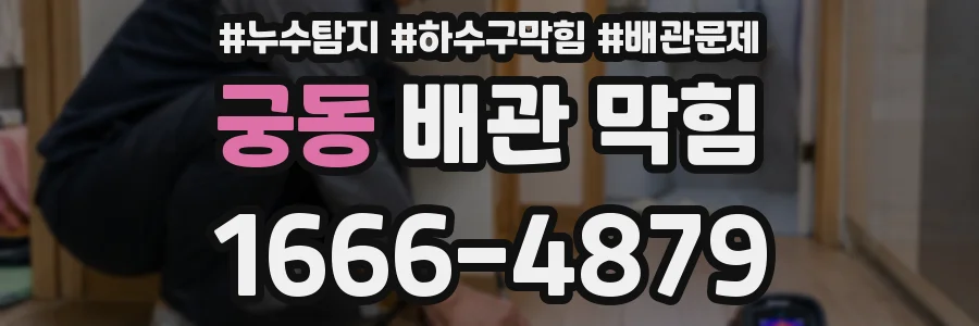 궁동 배관 막힘