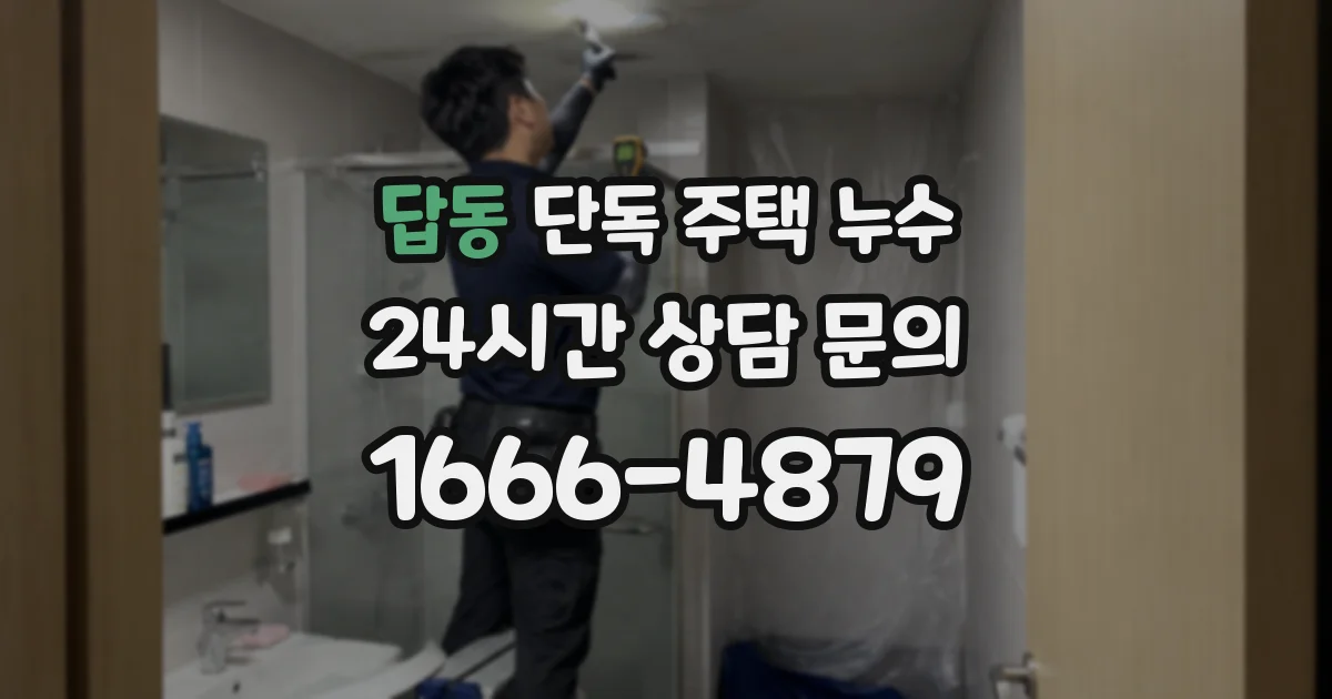답동 단독 주택 누수
