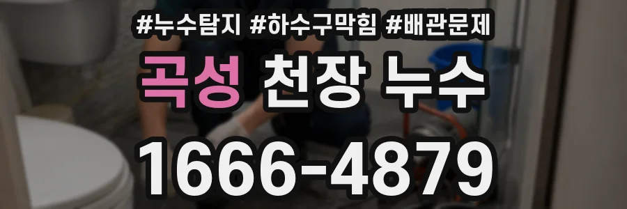 곡성 천장 누수