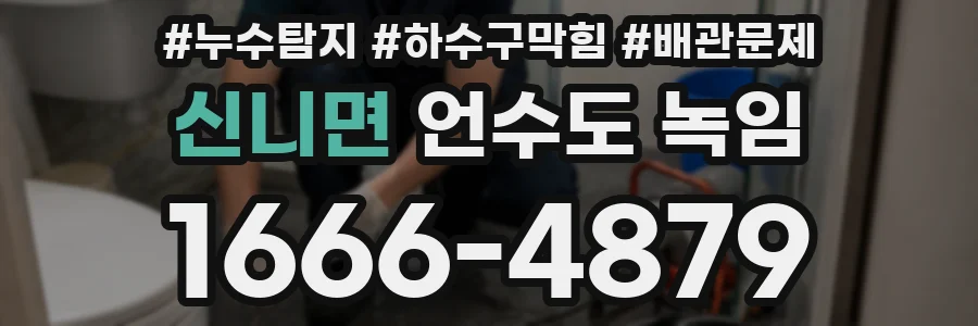 신니면 언수도 녹임