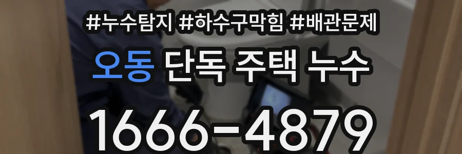 오동 단독 주택 누수