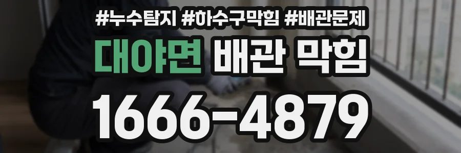 대야면 배관 막힘