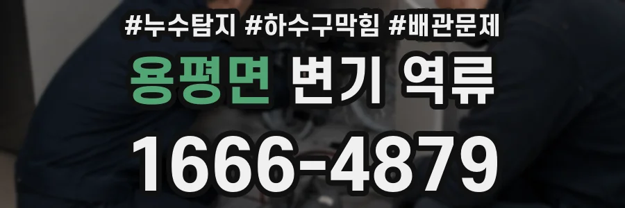 용평면 변기 역류