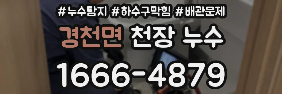 경천면 천장 누수