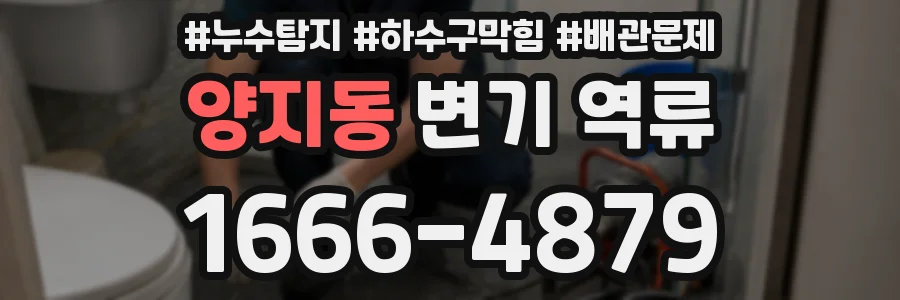 양지동 변기 역류