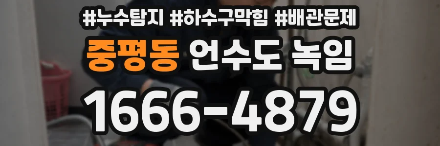 중평동 언수도 녹임