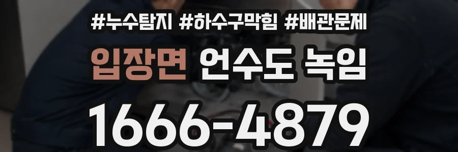 입장면 언수도 녹임