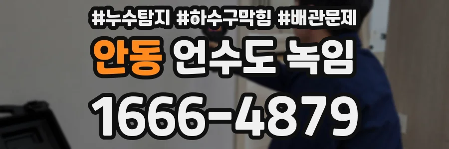 안동 언수도 녹임